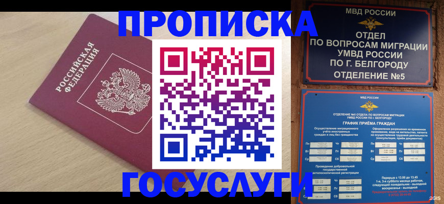 прописка законно в Цимлянске